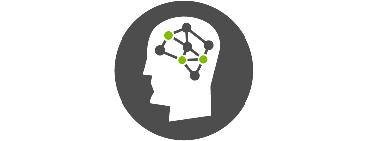 brain